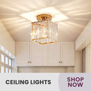 Ceiling Lights