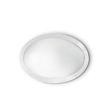 Load image into Gallery viewer, MADDI-1 AP1