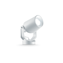 Load image into Gallery viewer, MINITOMMY PT