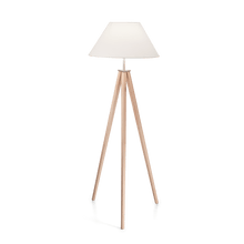 Load image into Gallery viewer, TRIDENT PT1