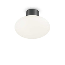 Load image into Gallery viewer, CLIO M1 | Outdoor Flush &amp; Hanging White Globe Pendant Light Fitting,1 Light