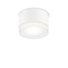 Load image into Gallery viewer, URANUS PL1 BIG &amp; SMALL | Flush Outdoor Wall &amp; Ceiling Light Fitting, Anthracite &amp; White Design, 1 Light, IP44
