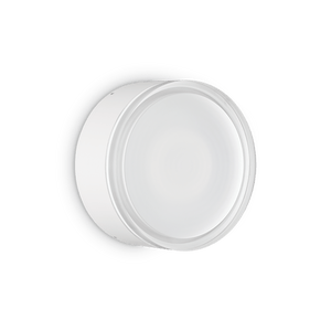 URANUS PL1 BIG & SMALL | Flush Outdoor Wall & Ceiling Light Fitting, Anthracite & White Design, 1 Light, IP44