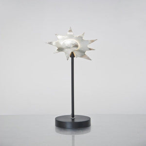 Table lamp 1-leaf PICCOLA LUMACHE - 300 K 12127 - shinychandeliers.co.uk